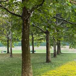 Event Cover Photo