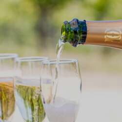 Event Cover Photo