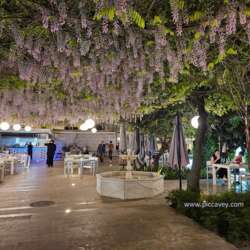 Event Cover Photo
