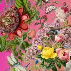 Event Cover Photo