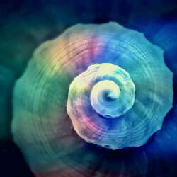 Event Cover Photo