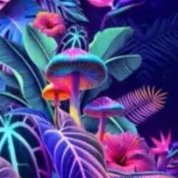 Event Cover Photo