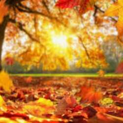 Event Cover Photo