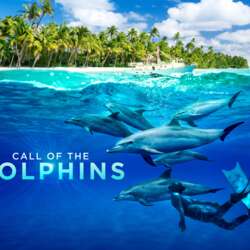 Event Cover Photo