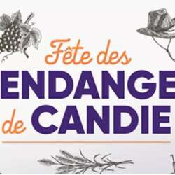 Event Cover Photo