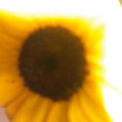 Event Cover Photo