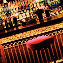 Event Cover Photo