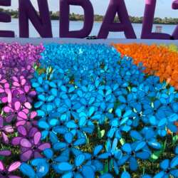 Event Cover Photo