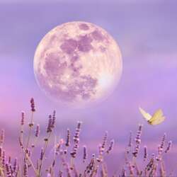 Event Cover Photo
