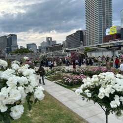 Event Cover Photo