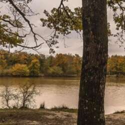 Event Cover Photo