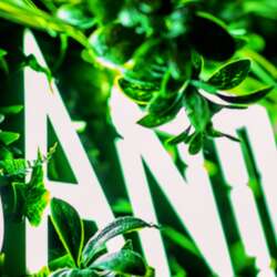 Event Cover Photo