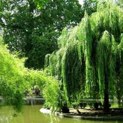 Event Cover Photo