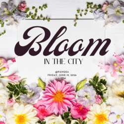 Event Cover Photo