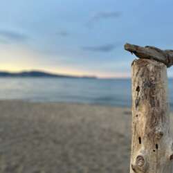 Event Cover Photo