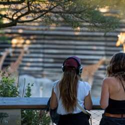 Event Cover Photo