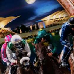 Event Cover Photo