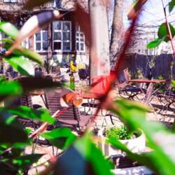 Event Cover Photo