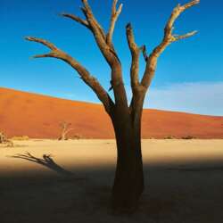 Event Cover Photo