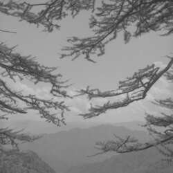 Event Cover Photo