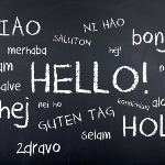 Expats and Their Language Skills