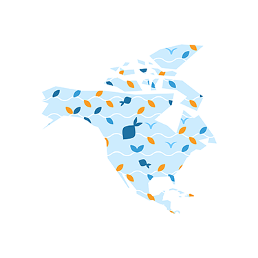 The post-electoral survey among European expatriates